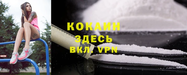 прущие грибы Фурманов