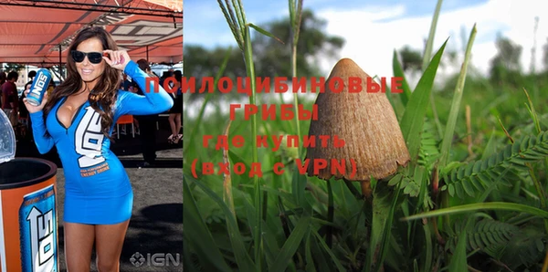 прущие грибы Фурманов