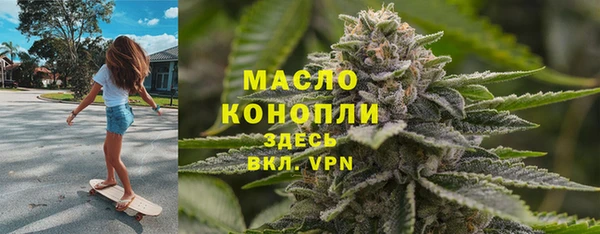хмурый Бородино