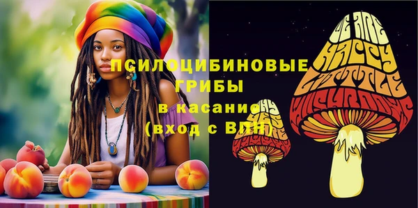 прущие грибы Фурманов