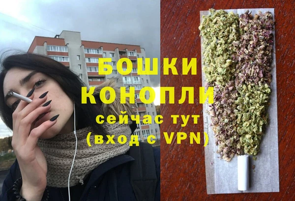 прущие грибы Фурманов