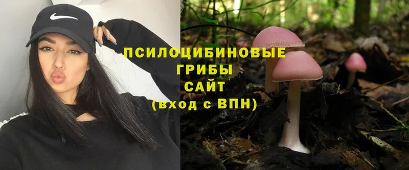 Галлюциногенные грибы Psilocybine cubensis  Пермь 