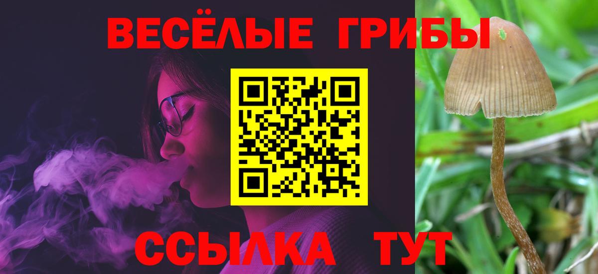 Псилоцибиновые грибы Magic Shrooms  Вход с VPN  Пермь 